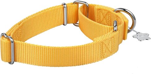 Martingale Dog Collar, Escape-Proof and No Slip Design, Heavy-Duty Nylon with Metal Buckle, Adjustable for Small, Medium & Large Dogs, Colorfast for Training, Daily Walks (Brick Red, M) in Saudi Arabia