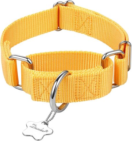 Martingale Dog Collar, Escape-Proof and No Slip Design, Heavy-Duty Nylon with Metal Buckle, Adjustable for Small, Medium & Large Dogs, Colorfast for Training, Daily Walks (Brick Red, M) in Saudi Arabia