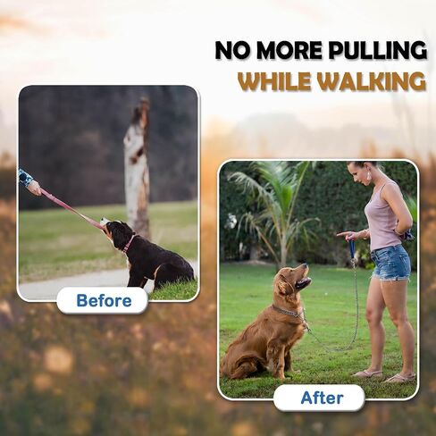 LOS ANDES Dog Chain Collar Metal Martingale Collar No Pull Dog Slip Collar Anti Chew Training Collar Chrome Plated Double Link Dog Collar for Large Small Medium Dogs in Saudi Arabia
