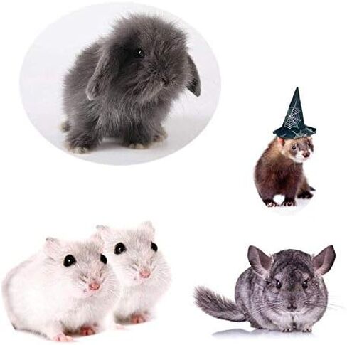 Small Animals Bowl, Detachable Cage Feeder Pet Ceramic Water & Food Feeder, Small Animal Supplies for Rabbit Parrot Squirrels Chinchilla Hamster Ferret (Pink, M) in Kuwait