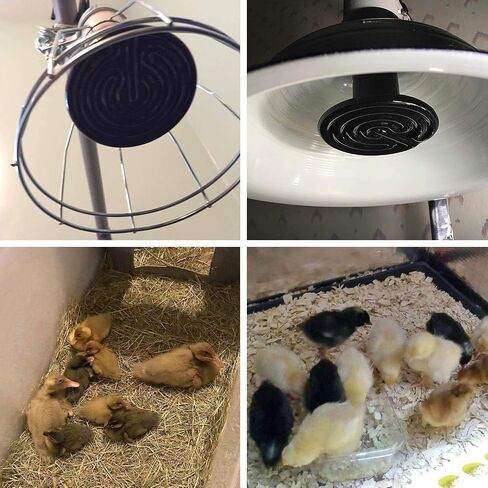 omaykey 100w 2 حزمة مصباح الحرارة السيراميك لمبة الأشعة تحت الحمراء الزواحف باعث الحرارة مصابيح لمبات لحاضنة الدجاج سحلية التنين الملتحي السلاحف ثعبان حوض السمك، لا ضوء ينبعث لا ضرر (المدرجة etl) in Kuwait