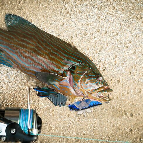 DEILAI Topwater الصيد السحر بلوبر السحر عدة يطير الصيد الذباب Topwater الطعم الثابت السحر مع 3D الصيد العين لسمك السلمون Walleye سمك السلمون المرقط باس المياه العذبة المياه المالحة in Kuwait