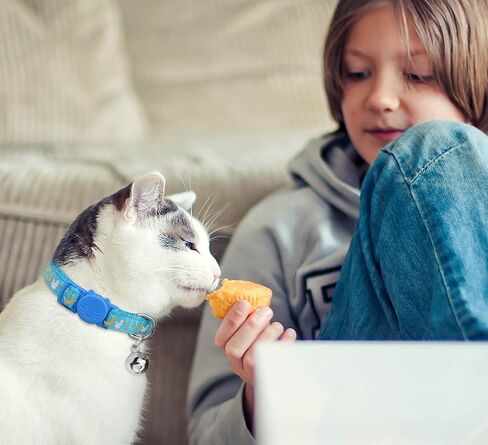 6 قطع من اطواق القطط القابلة للفصل، اطواق القطط بتصميم قمر ذهبي ومشبك امان مع جرس يتوهج في الظلام، اطواق قطط للاولاد والبنات in Kuwait