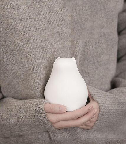 زجاجة ماء ساخن صغيرة مع غطاء للضغط الساخن والبارد، حقيبة ساخنة صغيرة من السيليكون الناعم لتسخين الميكروويف 300 مل للأطفال والنساء والمكتب والمنزل والسفر وتخفيف الألم وهدايا العطلات (أبيض) in Kuwait