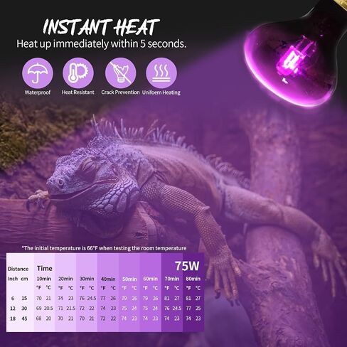FIVEAGE Night Heat Lamp 100W Reptile Heating Bulb, Infrared Moonlight UVA Basking Spot Lamp for Reptile and Amphibian Bearded Dragon Lizard Tortoise Snake-2 Pack in Kuwait