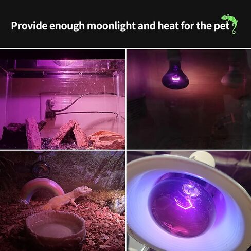 FIVEAGE Night Heat Lamp 100W Reptile Heating Bulb, Infrared Moonlight UVA Basking Spot Lamp for Reptile and Amphibian Bearded Dragon Lizard Tortoise Snake-2 Pack in Kuwait