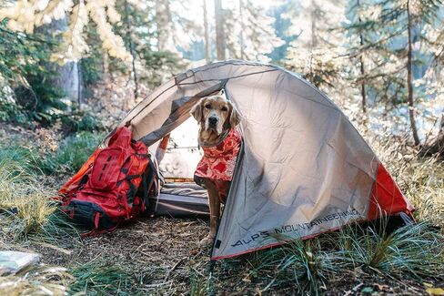 ALPS Mountaineering Lynx 2-Person Backpacking and Camping Tent in Kuwait