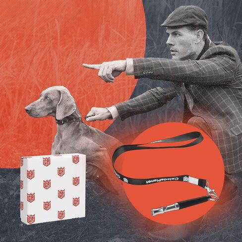 CELADAPLANET 2 Pack Dog Whistle - Adjustable Ultrasonic Whistles to Stop Barking for Dogs, Silent Dog-Whistle for Recall, Professional Dog-Whistles,Training, Stop Barking Control Devices, Free Lanyard in Kuwait