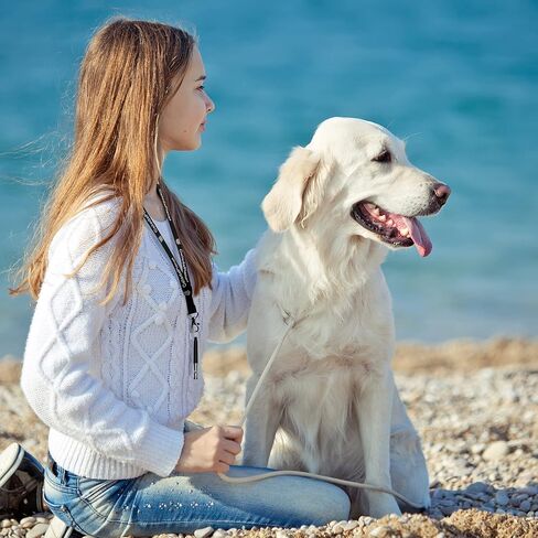 CELADAPLANET 2 Pack Dog Whistle - Adjustable Ultrasonic Whistles to Stop Barking for Dogs, Silent Dog-Whistle for Recall, Professional Dog-Whistles,Training, Stop Barking Control Devices, Free Lanyard in Kuwait