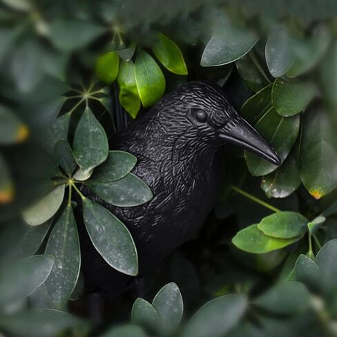 شرك الغراب آرتشريست، بلاستيك كامل الجسم لجذب أفخاخ الصيد، ديكور فناء الحديقة وديكور الهالوين in Kuwait