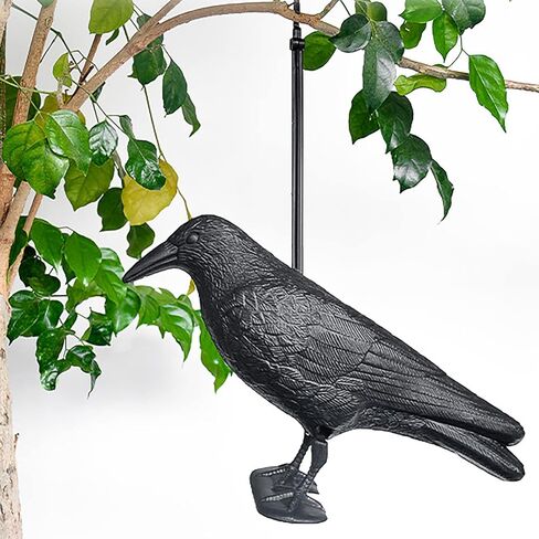 شرك الغراب آرتشريست، بلاستيك كامل الجسم لجذب أفخاخ الصيد، ديكور فناء الحديقة وديكور الهالوين in Kuwait