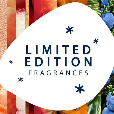 وعاء شمعة Glade، معطر جو، الصنوبر المتلألئ والأرز، 3.4 أونصة، عدد 2 in Saudi Arabia