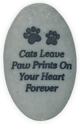 AngelStar Rainbow Bridge Pet Stone - القطط تترك مطبوعات مخالب على قلبك إلى الأبد، رمادي غامق in Saudi Arabia