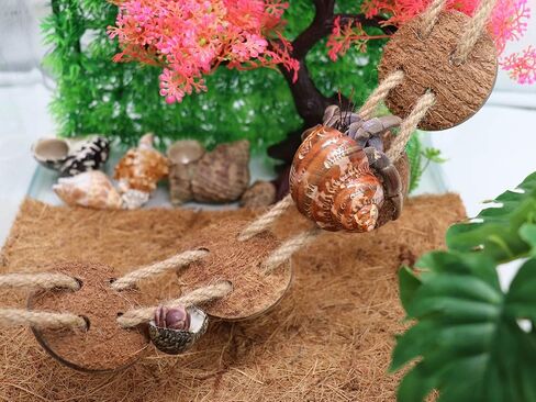 Neeenn 2 Pack Hermit Crab Climbing Toys, Hermit Crab Supplies, Reptile Vines Toys, Reptile Tank Terrarium Aquarium Accessories, Habitat Decor for Lizards Geckos Snakes Hermit Crab in Saudi Arabia