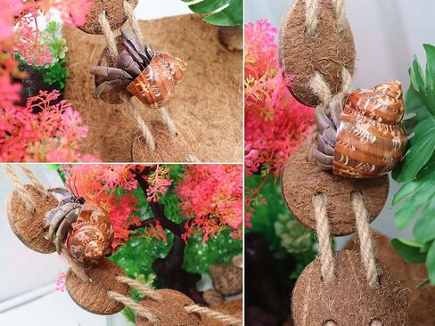 Neeenn 2 Pack Hermit Crab Climbing Toys, Hermit Crab Supplies, Reptile Vines Toys, Reptile Tank Terrarium Aquarium Accessories, Habitat Decor for Lizards Geckos Snakes Hermit Crab in Saudi Arabia