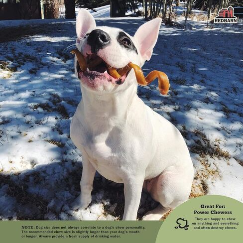 Redbarn Bully Springs for Dogs, 3-Count (Pack of 15) in Saudi Arabia