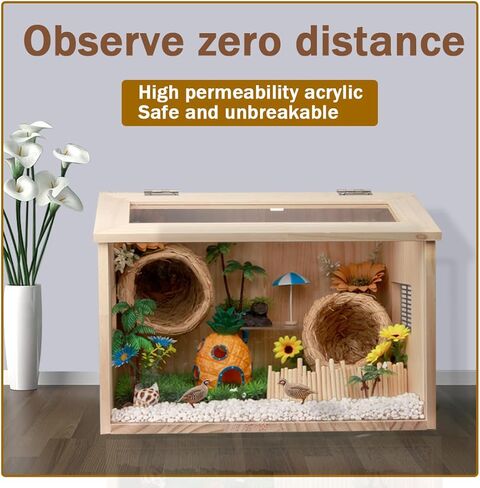 قفص هامستر NENHEIONI خشبي مقاس 15.7 × 11.8 × 11.8 بوصة، أقفاص خنازير غينيا، للفئران الهامستر الجربوع والليمون ديغوس أو غيرها من الحيوانات الأليفة صغيرة الحجم (المنتج لا يشمل الديكور الداخلي) in Kuwait