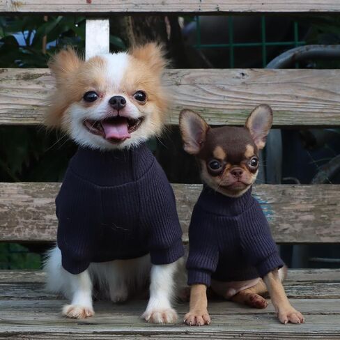 LOPHIPETS سترات بياقة مدورة للكلاب الصغيرة لملابس الشاي والقطط تشيهواهوا يوركي - وردي/XXS in Kuwait