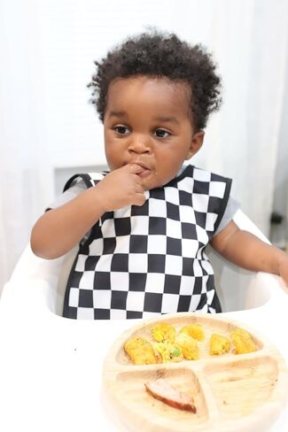 BapronBaby Desert Dinos Bapron - No Neck Tie Safer Bib for Baby & Toddler - Soft Waterproof Stain Resistant - Machine Washable - Sz Baby/Toddler 6m-3T in Saudi Arabia