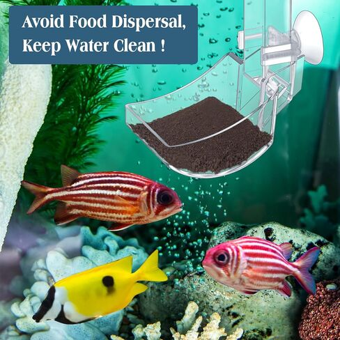 ماكسدوت مجموعة اطباق تغذية الروبيان في حوض السمك مع حلقة تغذية الاسماك وفرشاة تنظيف لتغذية الروبيان ومنع تناثر الطعام in Kuwait