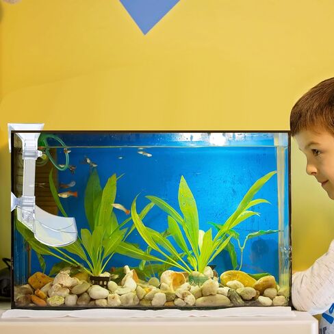 ماكسدوت مجموعة اطباق تغذية الروبيان في حوض السمك مع حلقة تغذية الاسماك وفرشاة تنظيف لتغذية الروبيان ومنع تناثر الطعام in Kuwait