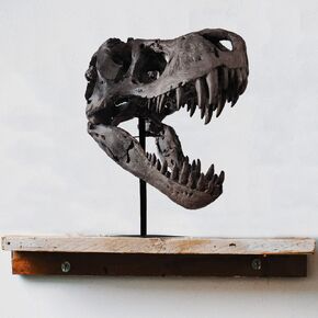 pombconw Dinosaur Statue Gothic Home Decor Resin T rex Skull Sculptures for Living Room Office TV Cabinet Wine Cabinet Holiday Birthday Gift