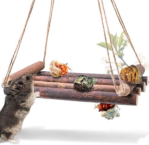 ألعاب تسلق سرطان البحر الناسك، ديكور تسلق الزواحف لموئل سرطان البحر الناسك الصغير أو المتوسط ​​(أرجوحة سرطان البحر الناسك) in Kuwait