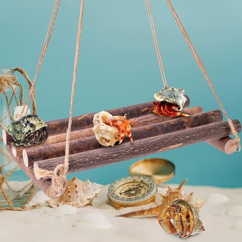 ألعاب تسلق سرطان البحر الناسك، ديكور تسلق الزواحف لموئل سرطان البحر الناسك الصغير أو المتوسط ​​(أرجوحة سرطان البحر الناسك) in Kuwait