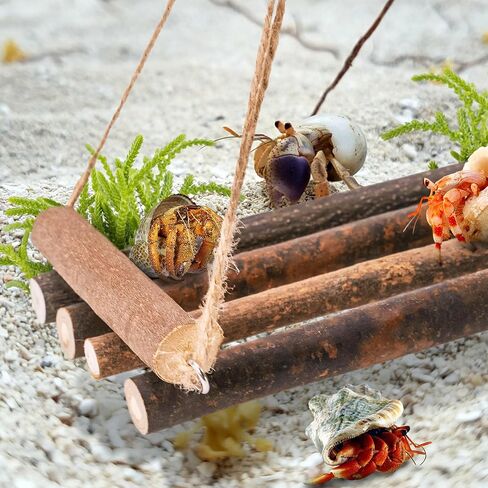 ألعاب تسلق سرطان البحر الناسك، ديكور تسلق الزواحف لموئل سرطان البحر الناسك الصغير أو المتوسط ​​(أرجوحة سرطان البحر الناسك) in Kuwait