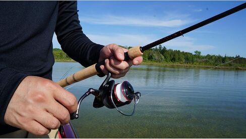 Ugly Stik 9’ Elite Salmon/Steelhead Spinning Rod, Two Piece Salmon/Steelhead Rod, 4-10lb Line Rating, Medium Light Rod Power, Medium Fast Action, 1/8-5/8 oz. Lure Rating,Cream & Black in Saudi Arabia