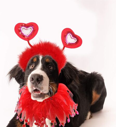 BWOGUE Valentine's Day Dog Costume Red Love Hearts Dog Headband with Collar Holiday Birthday Party Headwear Costume Gift for Small Medium Dogs in Saudi Arabia