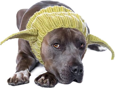 زي Zoo Snoods Baby Yoda للكلاب، مقاس متوسط ​​- دافئ بدون غطاء للأذن للحيوانات الأليفة، زي كلب حرب النجوم للشتاء والهالوين وعيد الميلاد ورأس السنة الجديدة، أغطية أذن من خيوط الغزل الناعمة in Kuwait