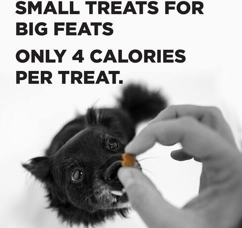 BIXBI Pocket Trainers, Chicken (6 oz, 1 Pouch) - Small Training Treats for Dogs - Low Calorie and Grain Free Dog Treats, Flavorful Pocket Size Healthy and All Natural Dog Treats in Saudi Arabia
