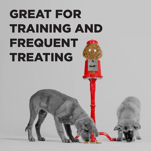 BIXBI Pocket Trainers, Chicken (6 oz, 1 Pouch) - Small Training Treats for Dogs - Low Calorie and Grain Free Dog Treats, Flavorful Pocket Size Healthy and All Natural Dog Treats in Saudi Arabia