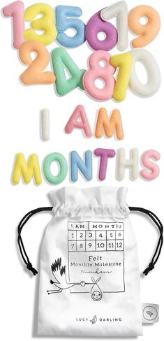 Baby Monthly Milestone Numbers – Signs & Photo Props – Soft Felt Letters & Numbers for Baby Announcement, Newborn Photography, Neutral in Saudi Arabia