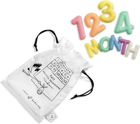 Baby Monthly Milestone Numbers – Signs & Photo Props – Soft Felt Letters & Numbers for Baby Announcement, Newborn Photography, Neutral in Saudi Arabia