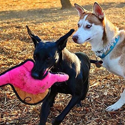 لعبة سناجل بابي تيندر تاف مجعدة - لعبة للكلاب من القطيفة القوية - ديناصور وردي برقبة طويلة مع صوت مجعد وخياطة متينة in Kuwait