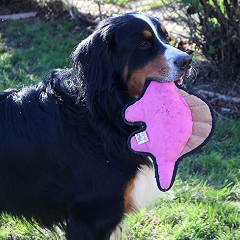 لعبة سناجل بابي تيندر تاف مجعدة - لعبة للكلاب من القطيفة القوية - ديناصور وردي برقبة طويلة مع صوت مجعد وخياطة متينة in Kuwait