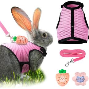 Bunnycool 1 قطعة حزام ومقود أرنب مع 2 ديكورات لطيفة، سترة شبكية ناعمة قابلة للتنفس، ملابس أرنب قابلة للتعديل للأرانب، مستلزمات المشي للجرو والخنازير الصغيرة (وردي، جزر، قطة)