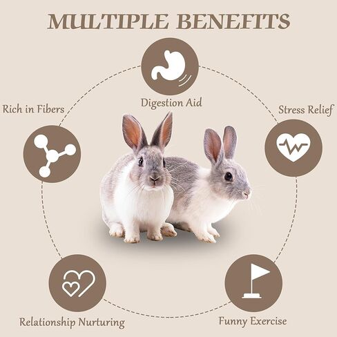 ألعاب الأرنب Ysenchan، ألعاب مضغ الأرنب، ألعاب خنزير غينيا، ألعاب الهامستر، ألعاب شينشيلا، يعامل الأرانب كعك تيموثي هاي، عصي خشب التفاح، ألعاب شينشيلا للعناية بالمولي in Kuwait