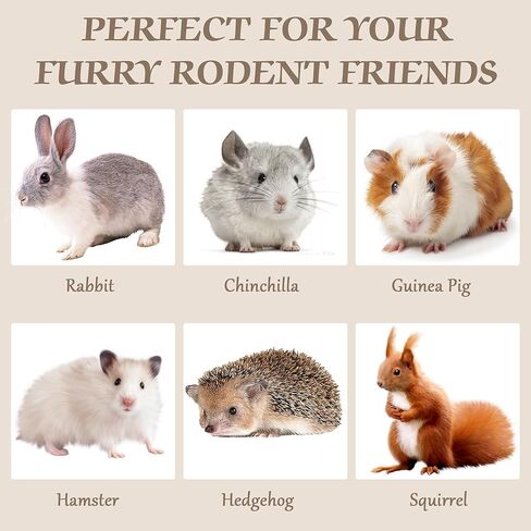 ألعاب الأرنب Ysenchan، ألعاب مضغ الأرنب، ألعاب خنزير غينيا، ألعاب الهامستر، ألعاب شينشيلا، يعامل الأرانب كعك تيموثي هاي، عصي خشب التفاح، ألعاب شينشيلا للعناية بالمولي in Kuwait