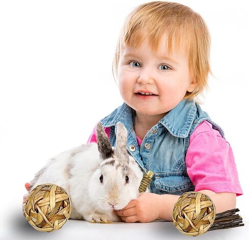 ألعاب الأرنب Ysenchan، ألعاب مضغ الأرنب، ألعاب خنزير غينيا، ألعاب الهامستر، ألعاب شينشيلا، يعامل الأرانب كعك تيموثي هاي، عصي خشب التفاح، ألعاب شينشيلا للعناية بالمولي in Kuwait