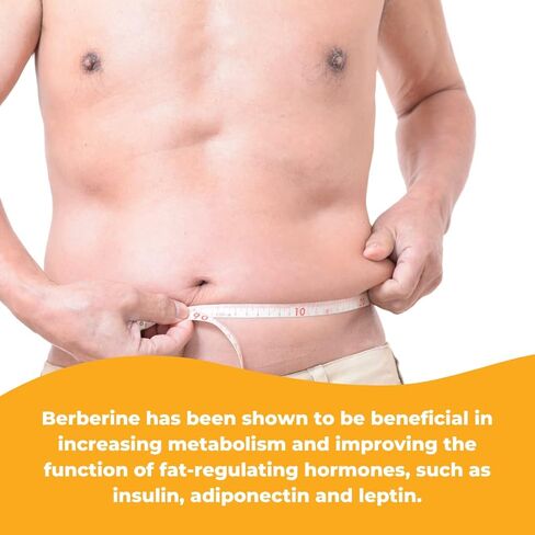 Wonder Laboratories Berberine HCL 500mg + صيانة القرفة والكروم للجلوكوز والتمثيل الغذائي وصحة القلب والجهاز المناعي وخالية من الغلوتين والكائنات المعدلة وراثيًا - 30 كبسولة in Kuwait