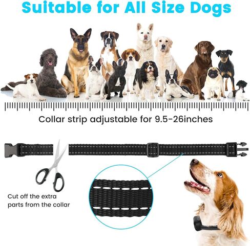 سياج الكلب الكهربائي من روكسان، سياج تحت الأرض للكلاب، استبدال طوق تدريب الكلاب، طوق استقبال قابل لإعادة الشحن مع أطواق تدريب مقاومة للماء وتصحيح لهجة المتلقي in Kuwait