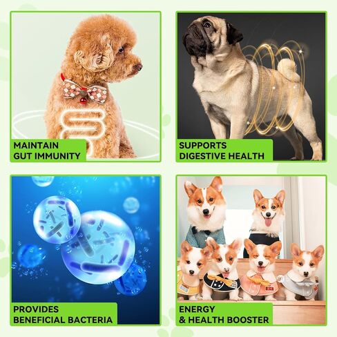 البروبيوتيك للكلاب، البروبيوتيك السائل للكلاب مع الإنزيمات الهاضمة، أمعاء صحة الجهاز الهضمي للكلاب، تخفيف الإسهال وعسر الهضم، البروبيوتيك للكلاب للخميرة، حكة الجلد وحكة الأذنين، صحة الجهاز الهضمي in Kuwait