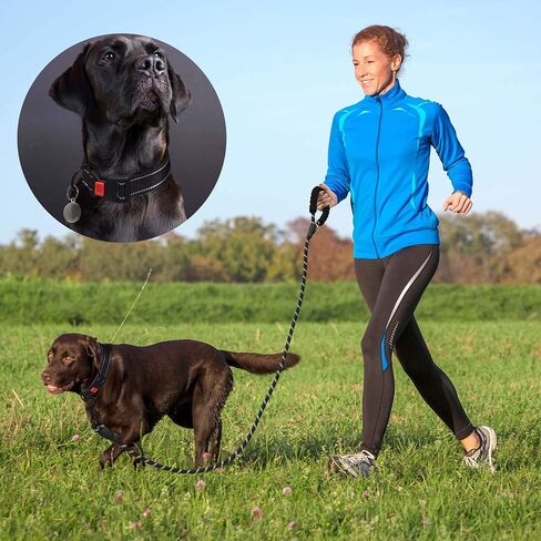 Ladoogo Heavy Duty Dog Leash - Comfortable Padded Handle, 5 ft Long - Dog Leashes for Small Medium Large Dogs (Leash+Collar M Neck 16"-20", Black) in Saudi Arabia