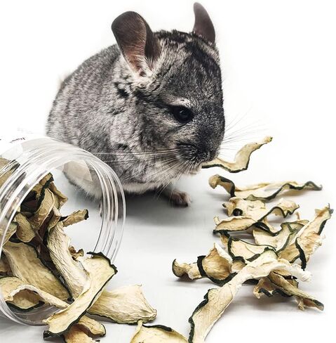 X-pet Rabbit Chew Toys and Chinchilla Treats, All Natural Material Suitable for Guinea Pig, Chinchilla, Hamster and Other Small Animals in Kuwait