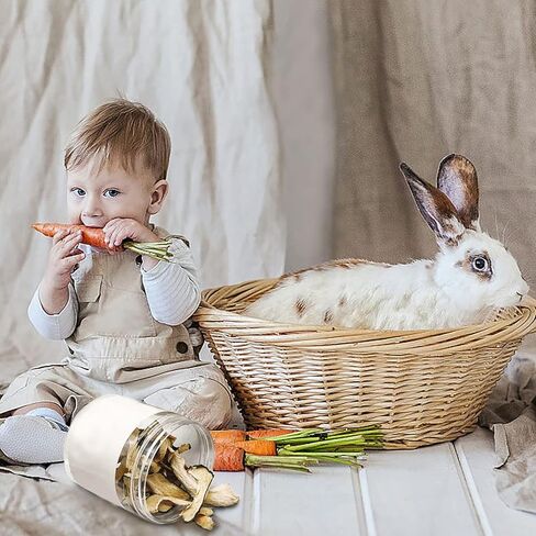 X-pet Rabbit Chew Toys and Chinchilla Treats, All Natural Material Suitable for Guinea Pig, Chinchilla, Hamster and Other Small Animals in Kuwait