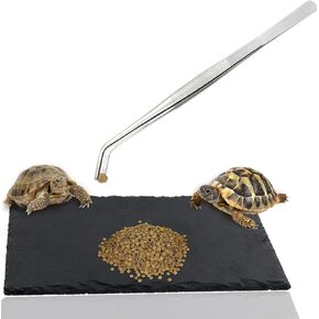 لينيفار طبق طعام على شكل سلحفاة صخرية متشمسة، طبق بلاطة للزواحف لسلحفاة جيكو والتنين الملتحي 11.87 انش × 7.87 انش × 0.15 انش in Kuwait