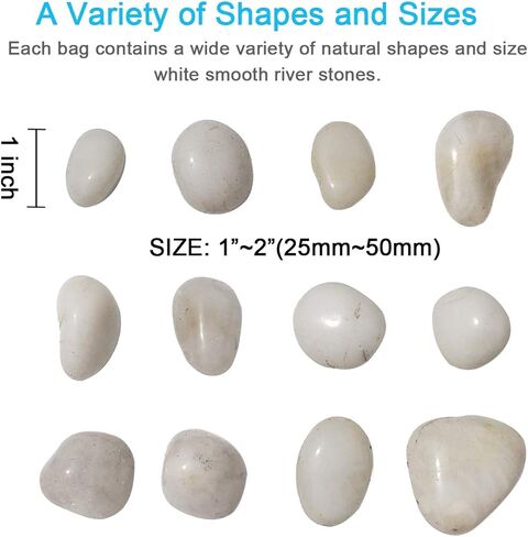 M-jump 1 رطل 2.54 سم - 5.08 سم الأحجار الزخرفية الطبيعية الحصى البيضاء المصقول تستخدم في الأواني الزجاجية، مثل المزهريات والأحواض المائية لتعزيز المظهر in Kuwait